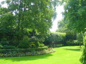 Green lawn bordered by shrubs and trees-Plant Health Care Services (PHC) by Stein Tree Service