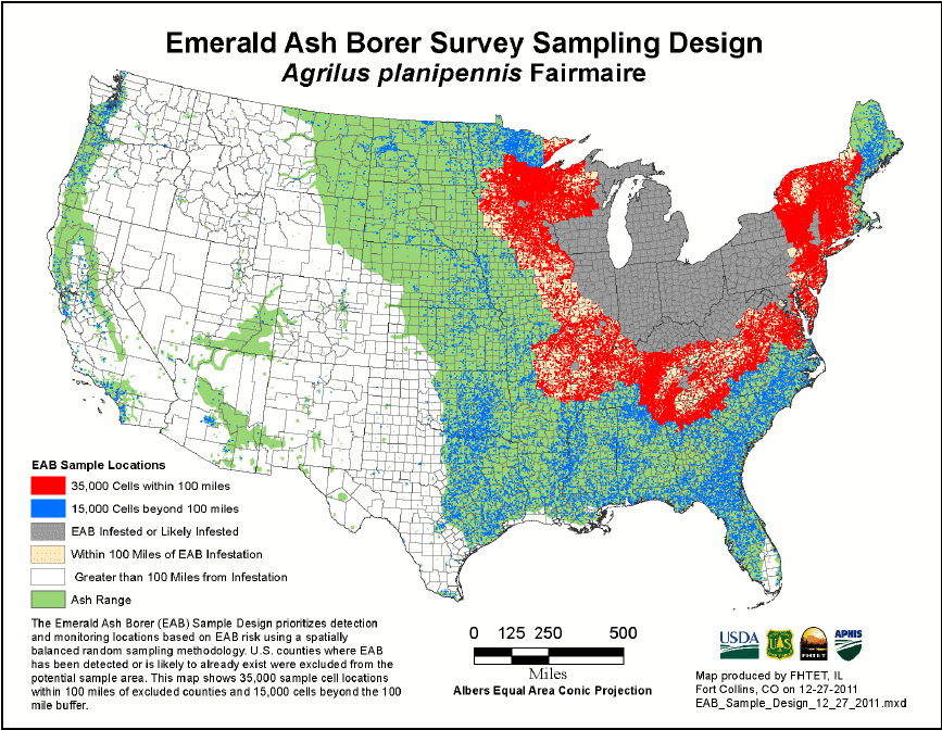 Emerald Ash Borer Invasive Species Highly Destructive To Ash Trees