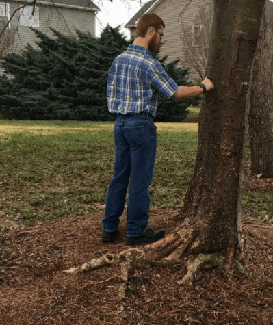 How do you become a certified arborist?