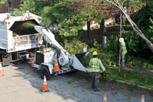 Tree Removal in Greenville, Delaware