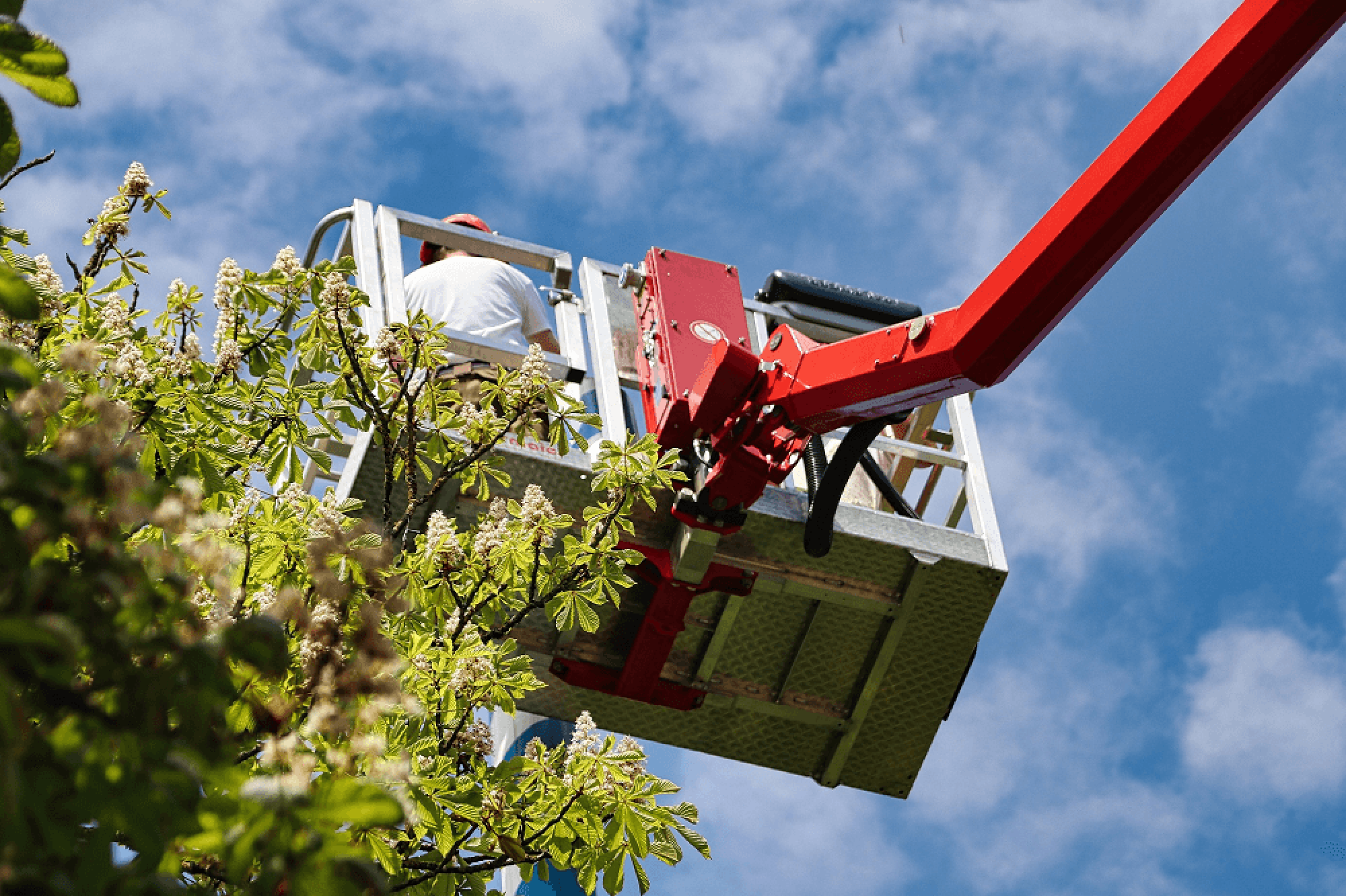 Stein Tree Lift Truck - Tree Trimming in Talleyville DE