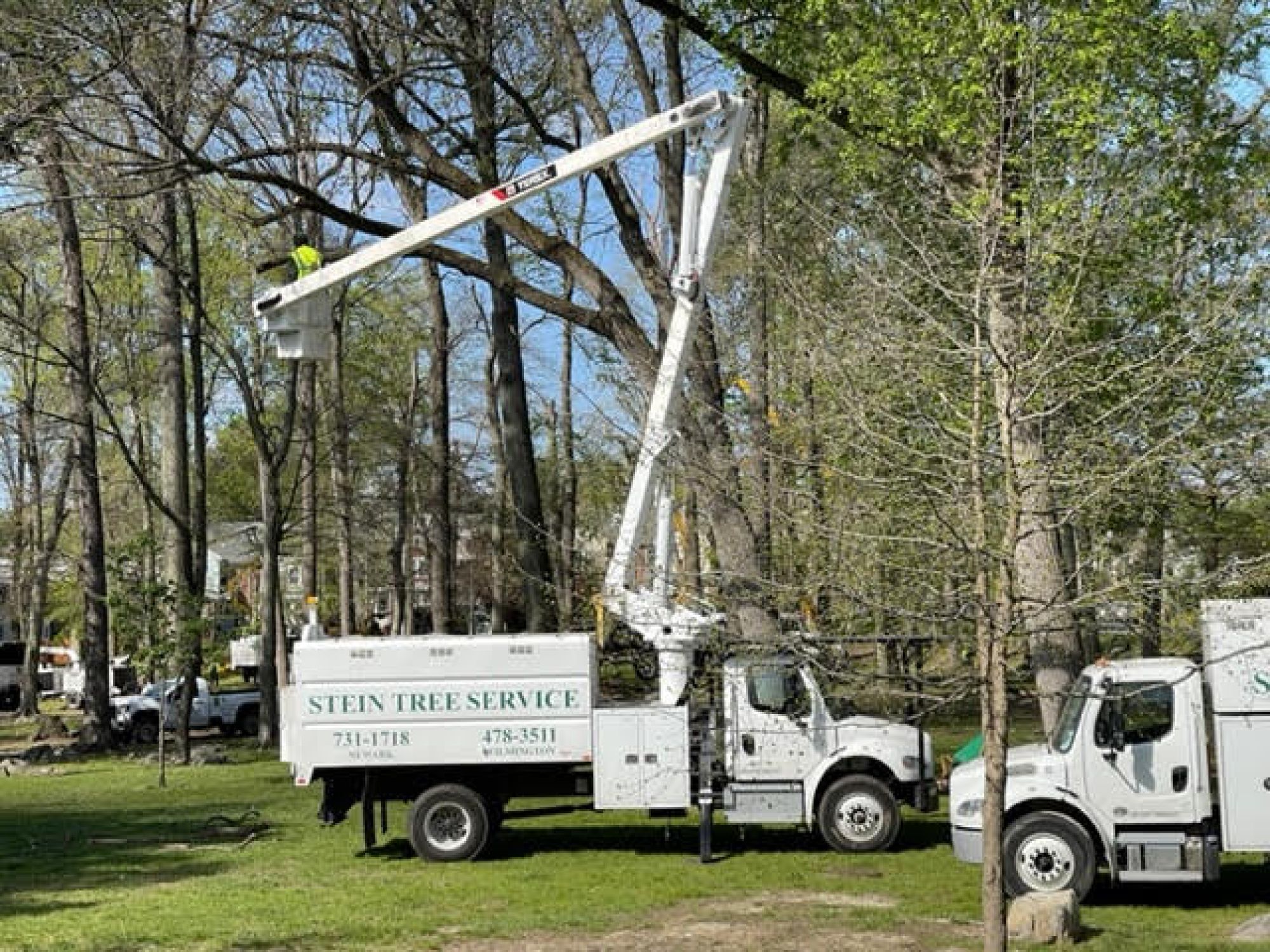 Stein Tree Lift Truck - Tree Trimming in Talleyville DE