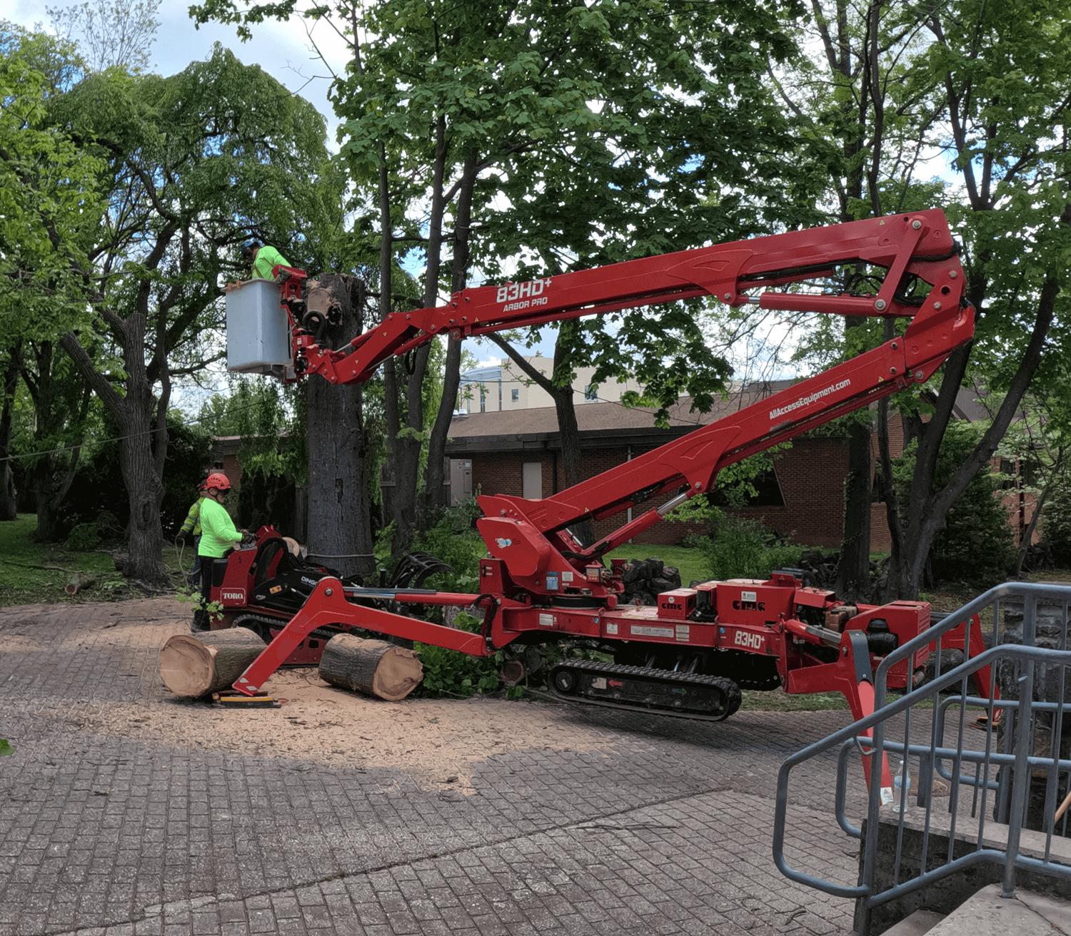 Spider lift used to remove tree | remove a dead tree | Stein Tree Service
